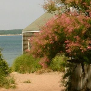 Meet your Posher, Sydney